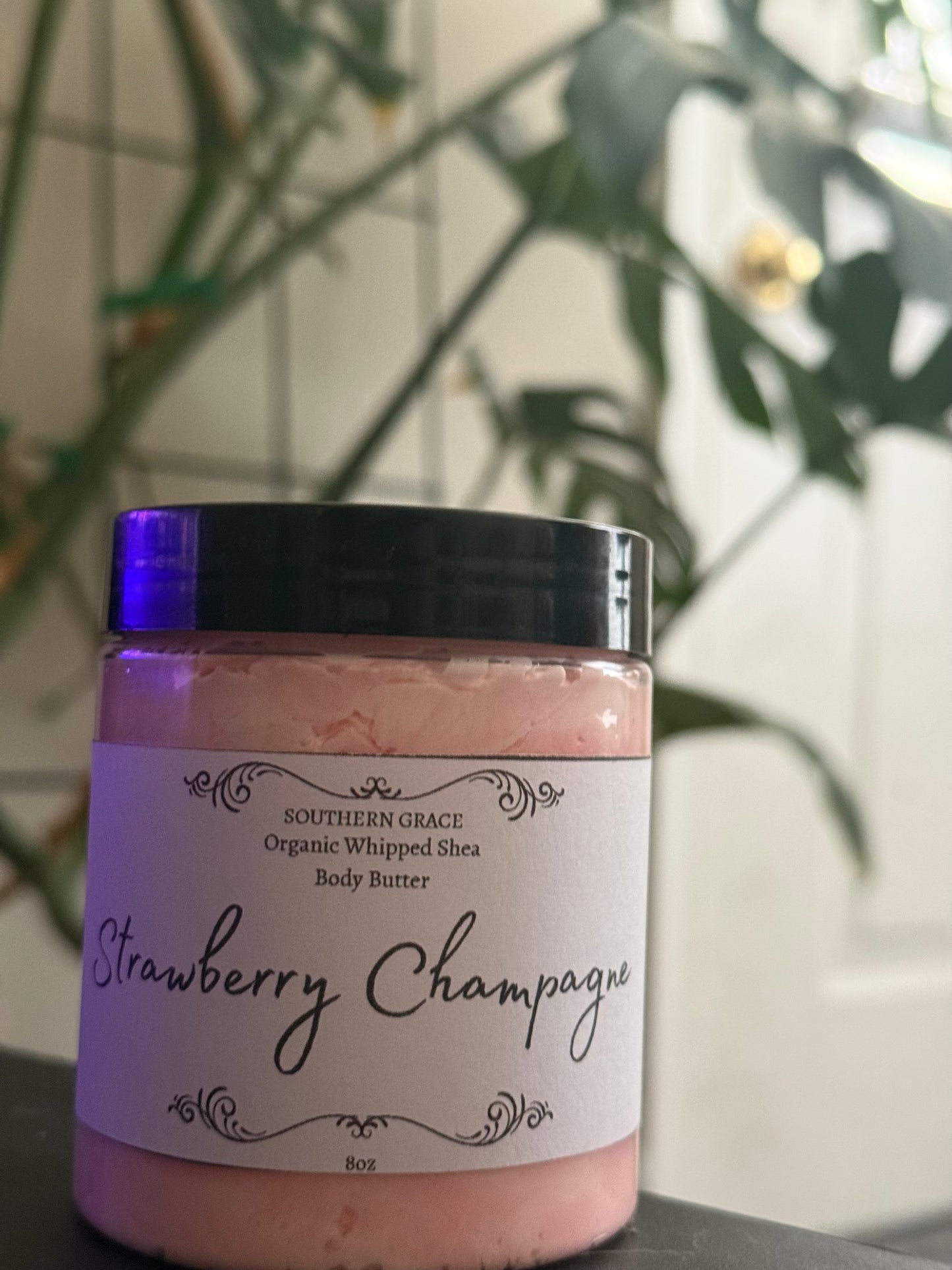 All the scents for: Whipped Shea Body Butter 8oz Jar